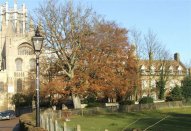 The King�s School Ely, ������� �����-������� � ������